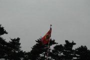 Festyn 3maj89