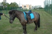 Festyn 1maj9