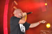 DSC_0331_800x531