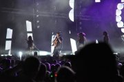 DSC_0417_800x531