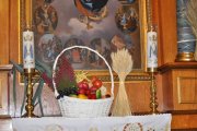 DSC_0003_800x531