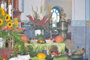 DSC_0010_800x531