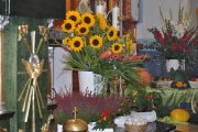 DSC_0011_800x531