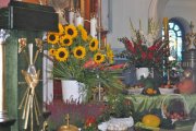 DSC_0017_800x531