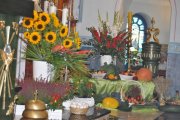 DSC_0018_800x531
