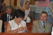 DSC_0028_800x531