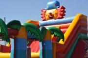 DSC_0039_800x531