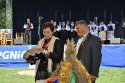 DSC_0114_800x531