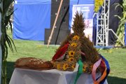 DSC_0128_800x531