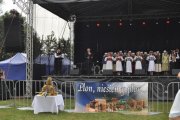 Dozynki Miedzna 2017134