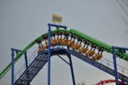 DSC_0009_800x531