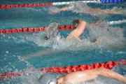 DSC_0498_1024x680