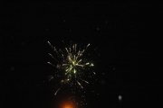 wosp201979