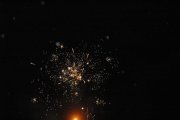 wosp201980