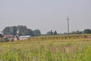 DSC_0264_800x531