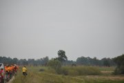 DSC_0341_800x531