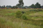 DSC_0348_800x531