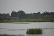 DSC_0358_800x531
