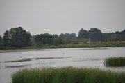 DSC_0359_800x531