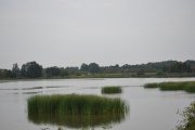 DSC_0360_800x531