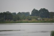 DSC_0361_800x531