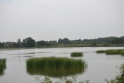 DSC_0365_800x531
