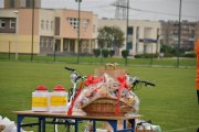 DSC_0382_800x531