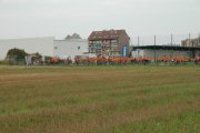 DSC_5010_800x532
