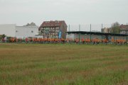 DSC_5011_800x532