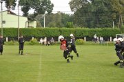 DSC_0887_800x531