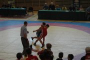 zapasy wola8