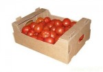 pomidor1