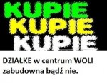 kupie dzialke