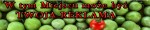 baner2