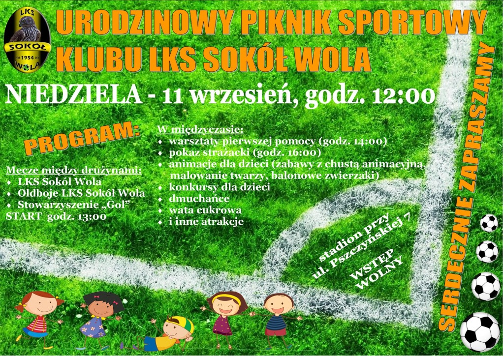 plakat piknik