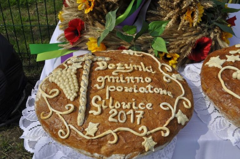 Dożynki Gminno-Powiatowe [FOTO] [VIDEO]