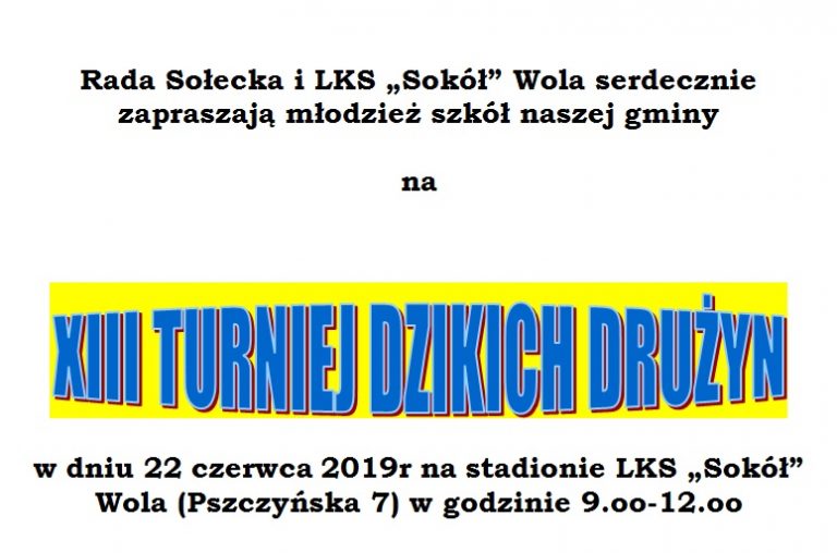 Turniej Dzikich Drużyn