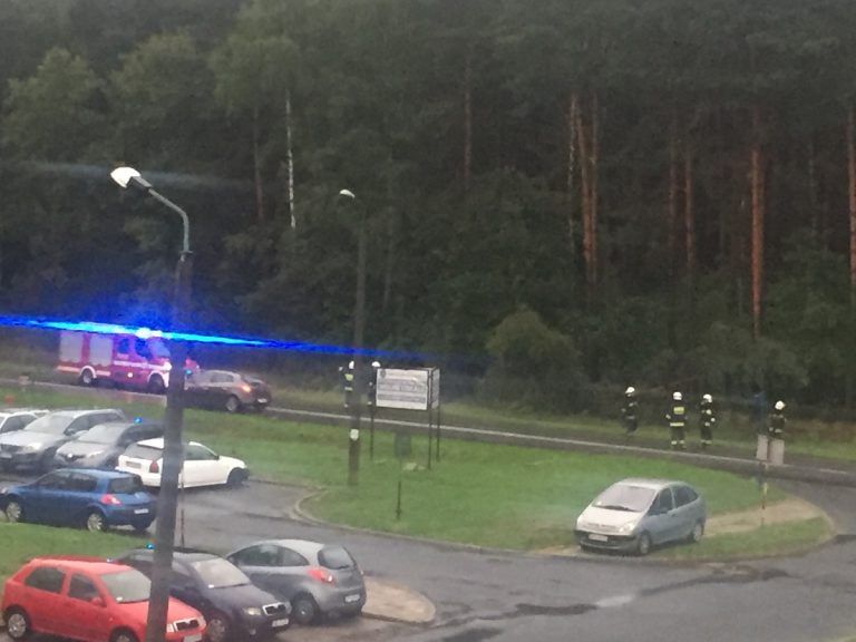 Powalone drzewo na linie energetyczną w Woli
