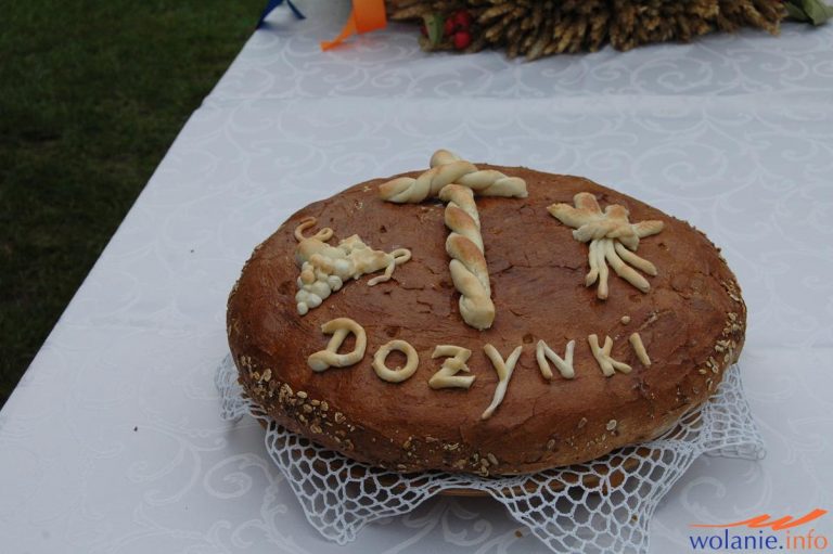 Dożynki 2019 –  Frydek