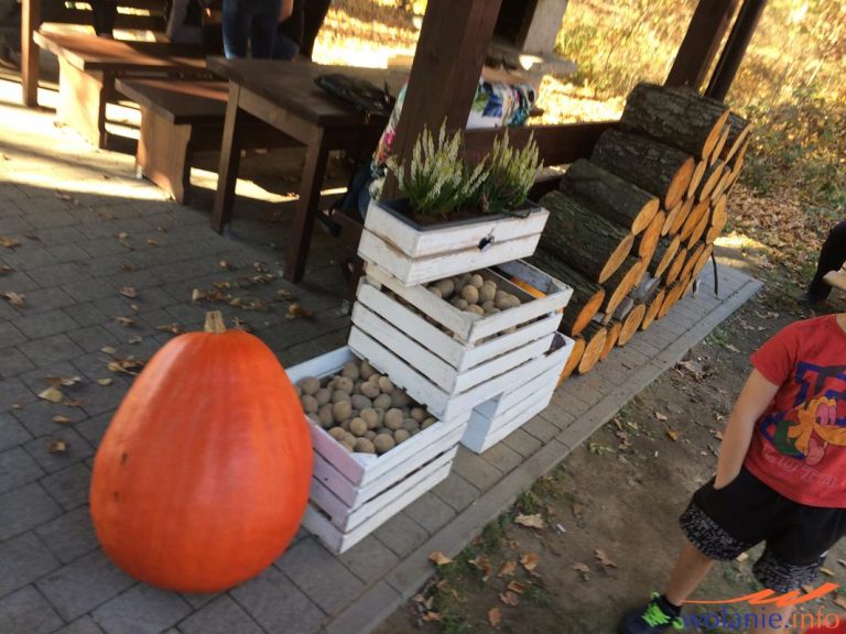 I Święto Pieczonego Ziemniaka [Foto&Video]